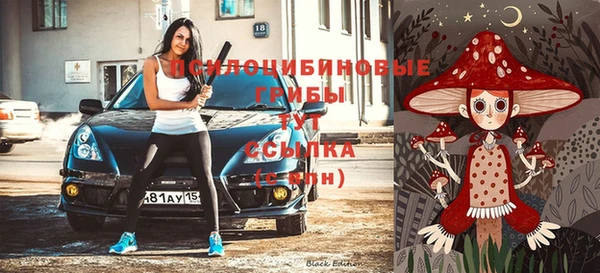 твердый Алзамай