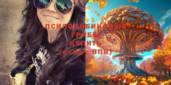 соль курить ск Алексеевка