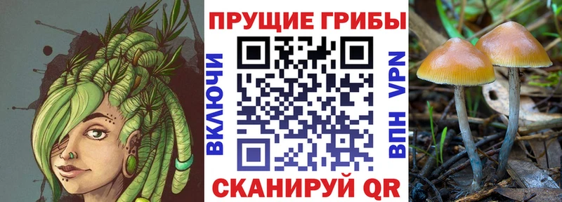 OMG вход  Камбарка  Галлюциногенные грибы Magic Shrooms 